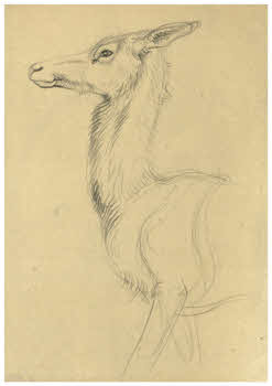 Visualizza l'immagine "FD D 1890"